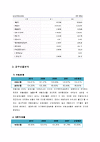 [재무관리] LG화학 재무분석-4