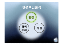 [경영학] 애플의 성공요인 분석-11