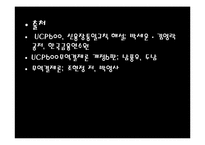 [무역결제론] 선하증권-15