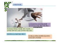 [무역상무론] 스마트가드의 멕시코시티 수출 성공 및 진입전략-5
