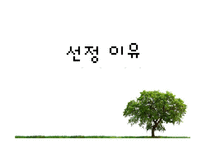 [무역상무론] 스마트가드의 멕시코시티 수출 성공 및 진입전략-13