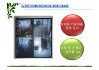 [무역상무론] 스마트가드의 멕시코시티 수출 성공 및 진입전략-19
