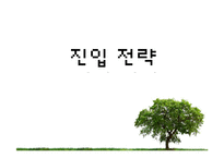 [무역상무론] 스마트가드의 멕시코시티 수출 성공 및 진입전략-20