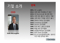 [국제경영] Electrolux 일렉트로룩스 M&A-4