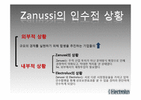 [국제경영] Electrolux 일렉트로룩스 M&A-16