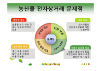 [인터넷비즈니스] 농산물 전자상거래 발전을 위한 우리의 제안-6