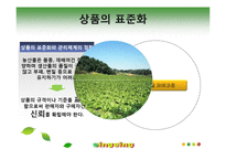 [인터넷비즈니스] 농산물 전자상거래 발전을 위한 우리의 제안-9