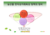 [인터넷비즈니스] 농산물 전자상거래 발전을 위한 우리의 제안-12