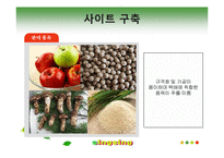 [인터넷비즈니스] 농산물 전자상거래 발전을 위한 우리의 제안-14