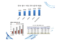 [마케팅전략] 아이시스(ICIS)시장점유율 1위 탈환 프로젝트-3