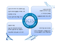 [마케팅전략] 아이시스(ICIS)시장점유율 1위 탈환 프로젝트-6