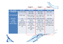 [마케팅전략] 아이시스(ICIS)시장점유율 1위 탈환 프로젝트-10