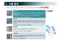 샤프란 마케팅 분석-12