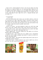 [마케팅] 오뚜기 마요네즈 러시아 진출 SWOT 분석-2