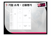 [재무관리] LG Display(LG디스플레이) 기업경영분석-8