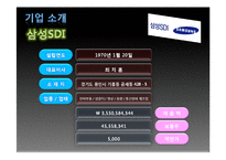 [기업분석] 삼성 SDI 기업정보 분석-5