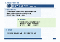 환율변동이 우리경제에 미치는 영향과 경제 주체별 대응방안-11