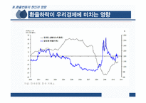 환율변동이 우리경제에 미치는 영향과 경제 주체별 대응방안-19