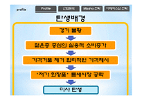 [마케팅] 미샤 Missha STP 전략-9