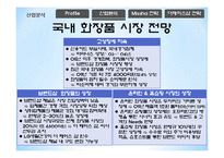 [마케팅] 미샤 Missha STP 전략-12