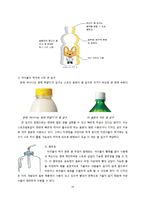 [마케팅조사] 바나나는 원래 하얗다-20
