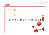 [국제경영] 예지미인의 베트남 시장 진출 전략-5