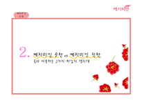 [국제경영] 예지미인의 베트남 시장 진출 전략-6