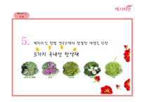 [국제경영] 예지미인의 베트남 시장 진출 전략-9