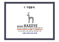 [시장조사론] 헤지스 해지스(Hazzys)의 경쟁력 강화-11