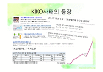키코(KIKO)사태 레포트-5