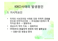 키코(KIKO)사태 레포트-6
