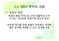 키코(KIKO)사태 레포트-13