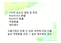키코(KIKO)사태 레포트-17