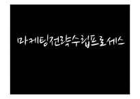 [마케팅] 배상면주가 `느린마을 막걸리` 마케팅전략수립계획-1
