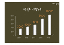 [마케팅] 배상면주가 `느린마을 막걸리` 마케팅전략수립계획-13