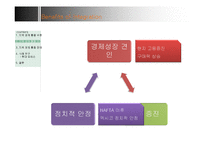 [국제경영론] 지역경제통합-6