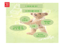 [해외시장조사론] 오로라월드 Obm 수출 방식-13