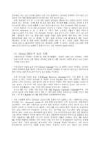 [인사관리] Global HRM 국제인사관리-9
