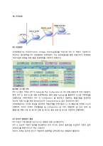 인천국제공항 ERP 도입사례-10