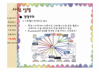 [경영학] 소셜커머스 위폰 분석-13