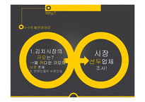 [마케팅] 홍진경의 `더 김치` 마케팅 사례 분석-4