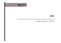 [국제경영] 캐포츠 EXR의 국내 및 해외시장 전략 현황-1
