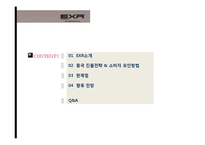 [국제경영] 캐포츠 EXR의 국내 및 해외시장 전략 현황-2