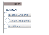 [국제경영] 캐포츠 EXR의 국내 및 해외시장 전략 현황-3