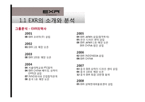 [국제경영] 캐포츠 EXR의 국내 및 해외시장 전략 현황-4