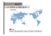 [국제경영] 캐포츠 EXR의 국내 및 해외시장 전략 현황-5