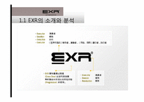 [국제경영] 캐포츠 EXR의 국내 및 해외시장 전략 현황-7