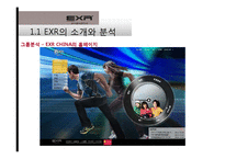 [국제경영] 캐포츠 EXR의 국내 및 해외시장 전략 현황-8