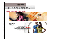 [국제경영] 캐포츠 EXR의 국내 및 해외시장 전략 현황-9
