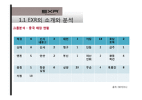 [국제경영] 캐포츠 EXR의 국내 및 해외시장 전략 현황-11